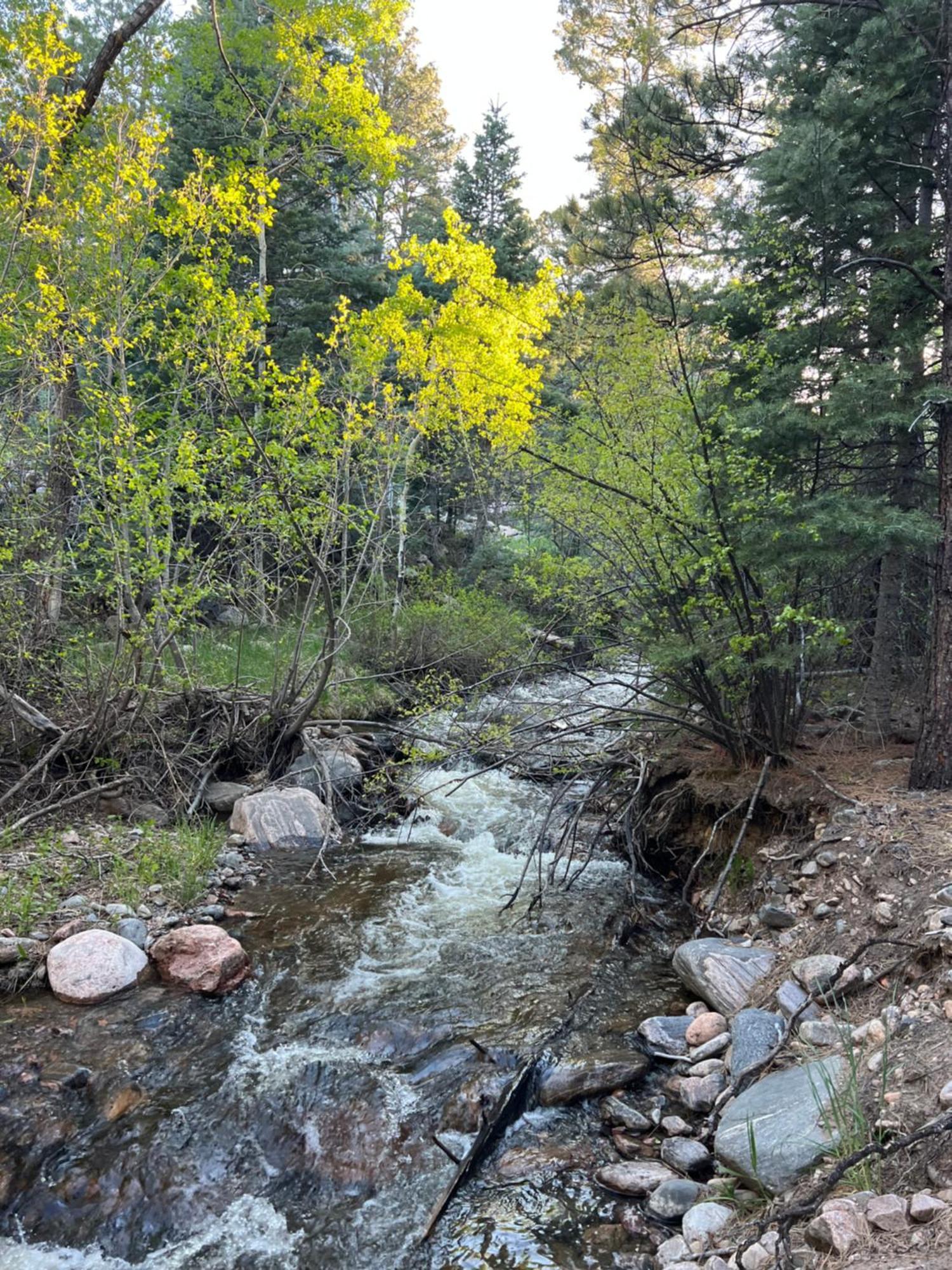 Cozy Cabin On The Creek Colorado City Exterior foto